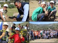 Zeytin Fidanları Topakla Buluştu