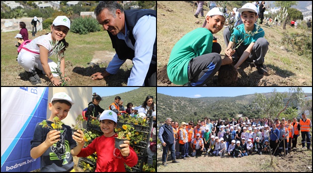 Zeytin Fidanları Topakla Buluştu