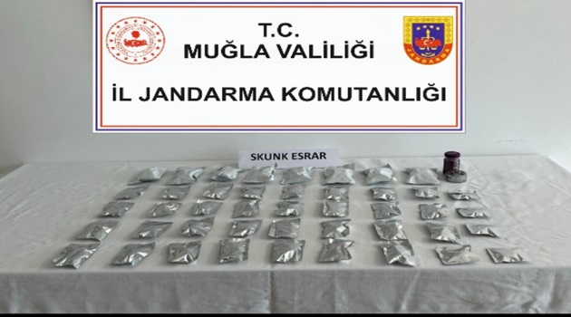 Jandarmadan Uyuşturucu Operasyonu