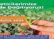 BELEDİYEDEN ÜRETİCİLERE FİDE DESTEĞİ