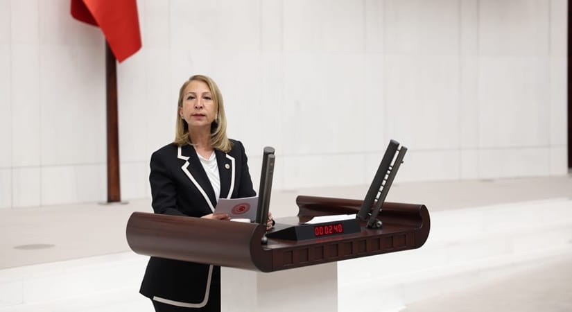 CHP Muğla Milletvekili Süreyya Öneş Derici’den Havalimanı Arazisi İçin Sert Tepki