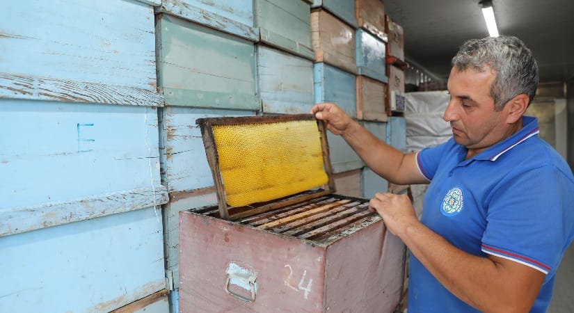 Büyükşehrin Türkiye’de İlk Olan Temiz Petek Projesi Başladı