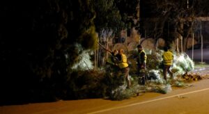 Park ve Bahçeler Ekipleri Fırtınada Sahadaydı