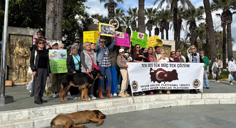 Hayvanseverler Bodrum’da Ses Yükseltti