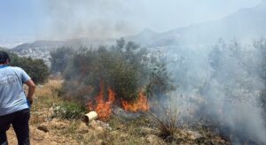 Bodrum Turgutreis’te Makilik Alanda Yangın