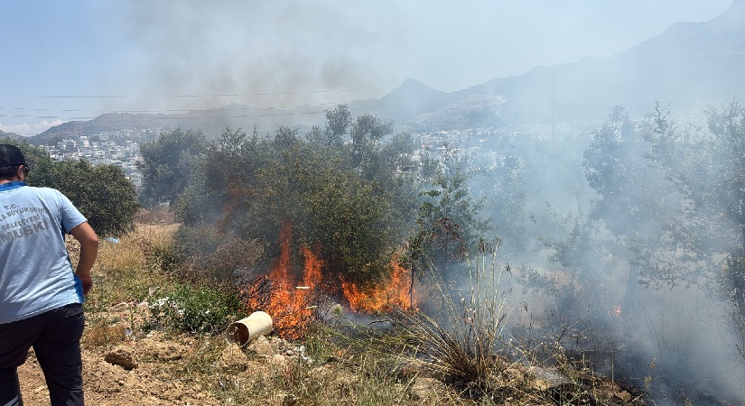 Bodrum Turgutreis’te Makilik Alanda Yangın