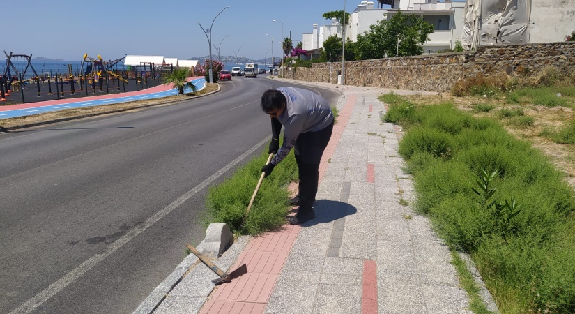 Ot Temizliği Çalışmaları Haziran Ayı Boyunca Aralıksız Sürdü