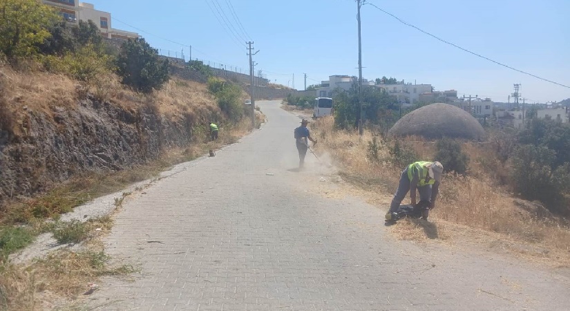 Bodrum’da Ot Temizliği Çalışmaları Sürüyor