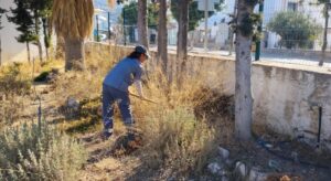 Bodrum’da Ot Temizliği Çalışmaları Sürüyor