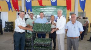 Milas Belediyesi Kışlık Sebze Fidelerini Üreticilerle Buluşturdu
