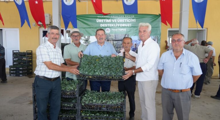 Milas Belediyesi Kışlık Sebze Fidelerini Üreticilerle Buluşturdu