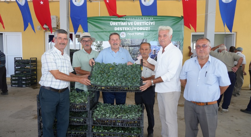 Milas Belediyesi Kışlık Sebze Fidelerini Üreticilerle Buluşturdu